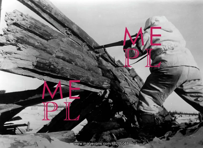 : Fights in the Rzhev area, 1943 : Fights in the Rzhev area, 1943