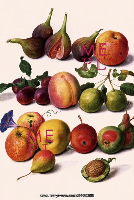  : Figs, Apples, Walnuts
