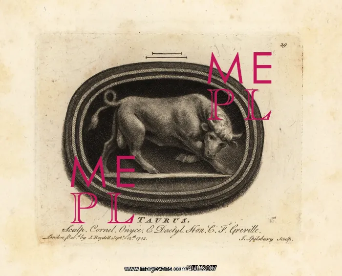 : Figure of a charging bull. Taurus : Figure of a charging bull. Taurus