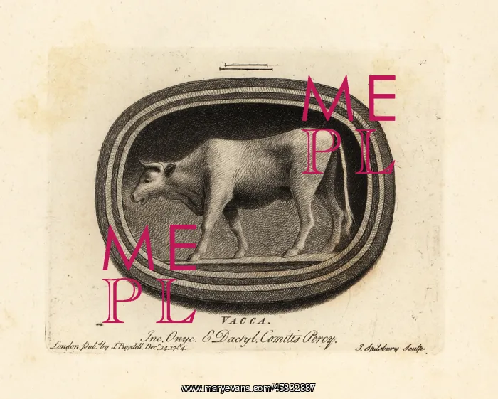 : Figure of a cow : Figure of a cow