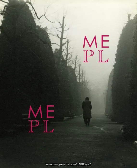 : Figure in the Mist : Figure in the Mist
