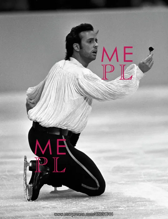 : Figure Skating Champions Cup, 1989 : Figure Skating Champions Cup, 1989