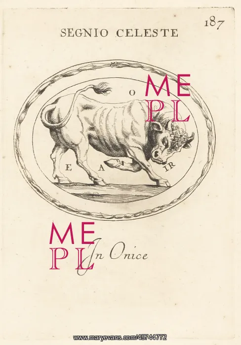 : Figure of Taurus as a charging bull : Figure of Taurus as a charging bull