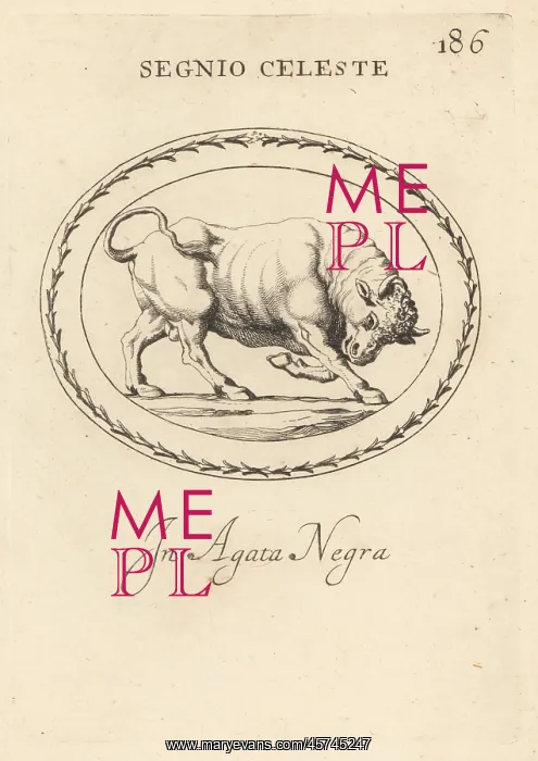 : Figure of Taurus as a charging bull : Figure of Taurus as a charging bull