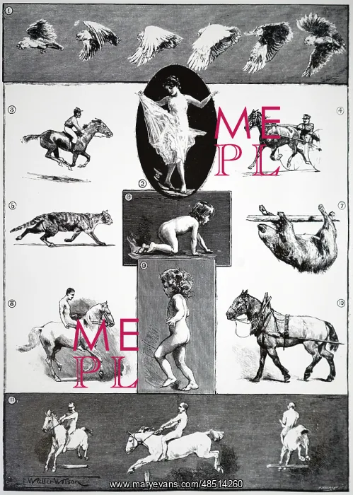 : Some of the figures which Eadweard Muybridge showed : Some of the figures which Eadweard Muybridge showed