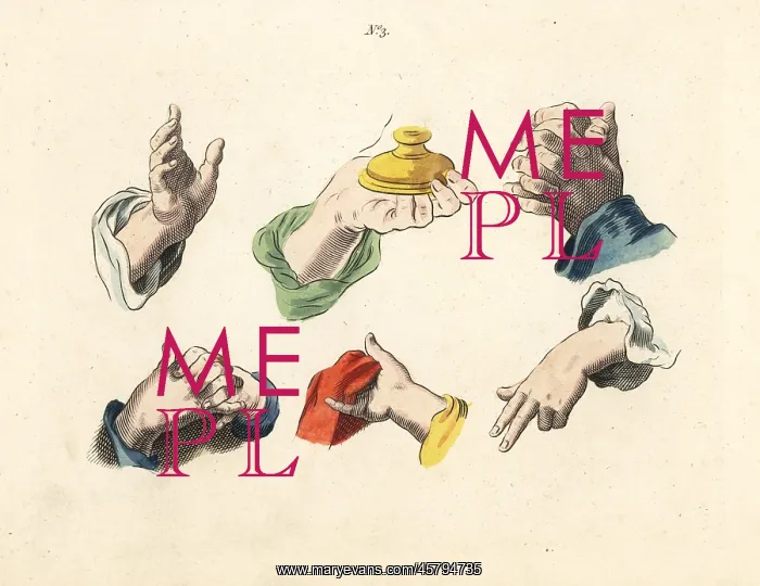 : Figures of male fingers, hands, gestures : Figures of male fingers, hands, gestures