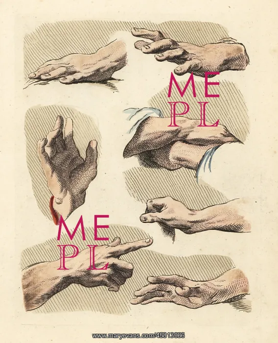 : Figures of male fingers, hands, gestures : Figures of male fingers, hands, gestures