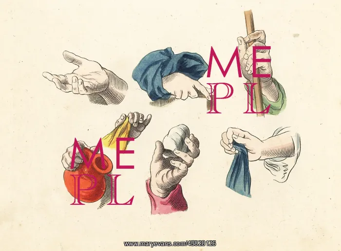 : Figures of male fingers, hands, gestures : Figures of male fingers, hands, gestures