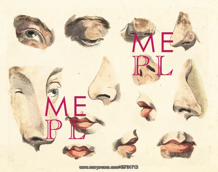  : Figures of noses, eyes, mouths and lips