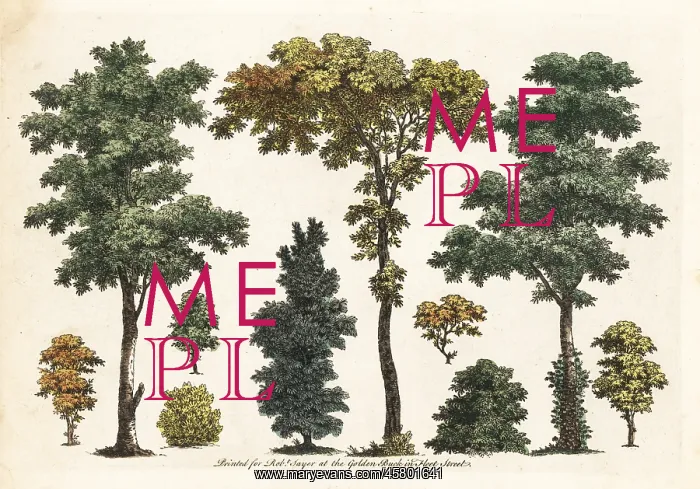 : Figures of trees, bushes, foliage from an art tutorial book : Figures of trees, bushes, foliage from an art tutorial book