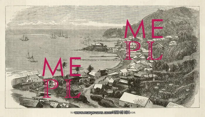  : FIJI ISLANDS / LEVUKA 1880