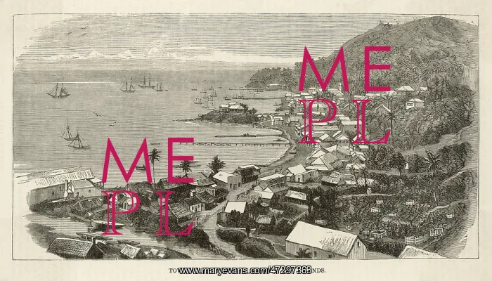  : FIJI ISLANDS / LEVUKA 1880
