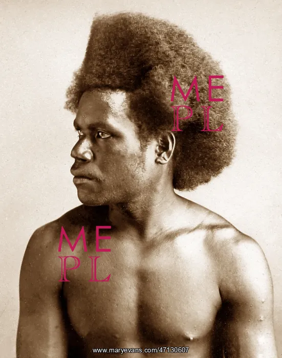  : A Fijian Chief Victorian period