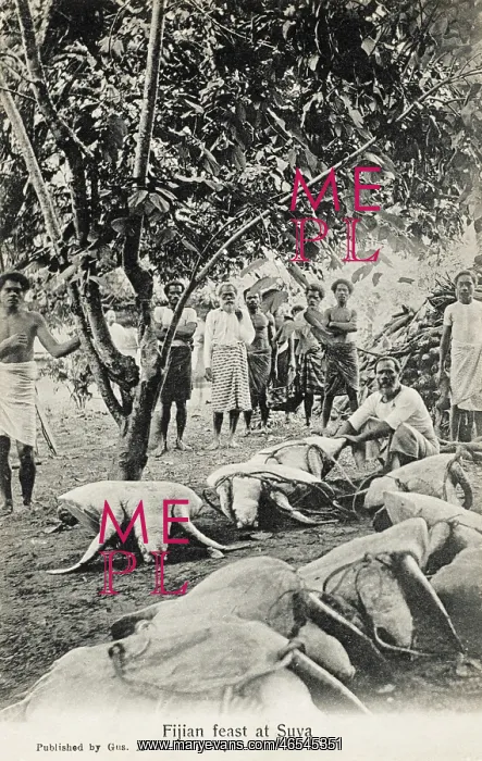 : Fijian Feast (Giant Turtles) : Fijian Feast (Giant Turtles)