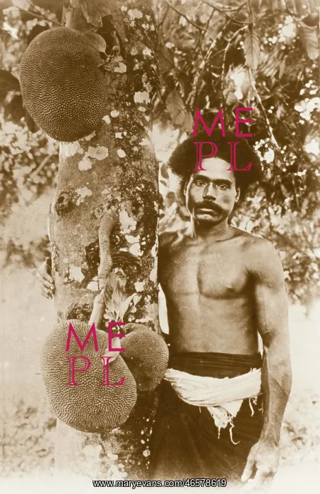 : Fijian Man and Jackfruit Tree : Fijian Man and Jackfruit Tree