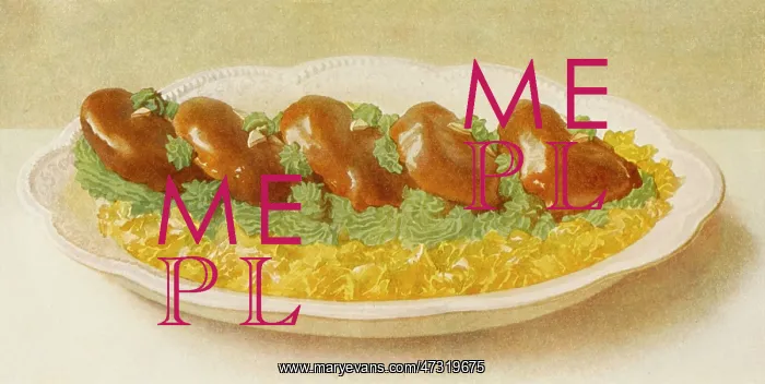  : FILLETS OF BEEF
