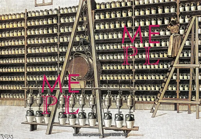 : FILLING OLIVE OIL BOTTLE : FILLING OLIVE OIL BOTTLE
