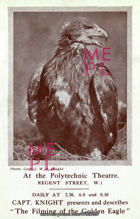 : Filming of the Golden Eagle, Polytechnic Theatre, London : Filming of the Golden Eagle, Polytechnic Theatre, London