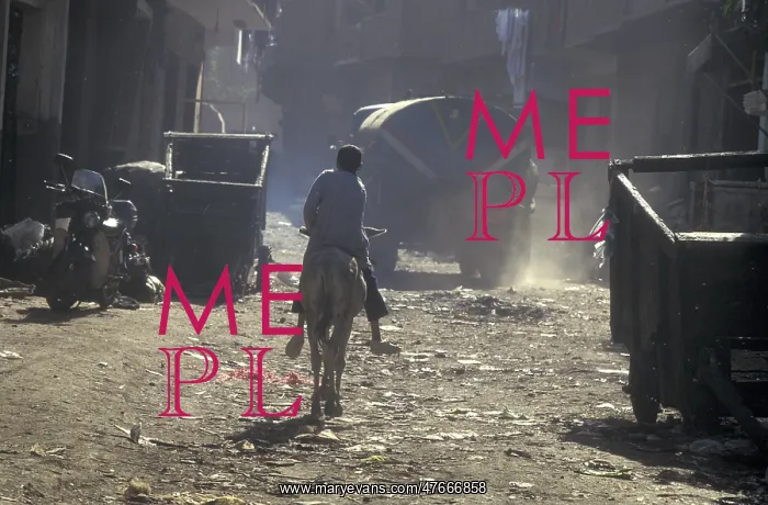 : Filthy streets, Mokattam, Cairo : Filthy streets, Mokattam, Cairo
