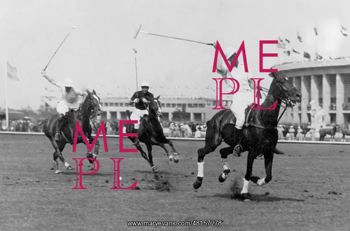 : Final of the Polo at the 1936 Olympics : Final of the Polo at the 1936 Olympics