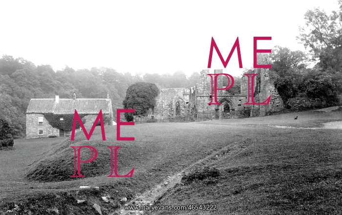  : Finchale Priory, 1892