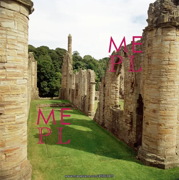 : Finchale Priory : Finchale Priory