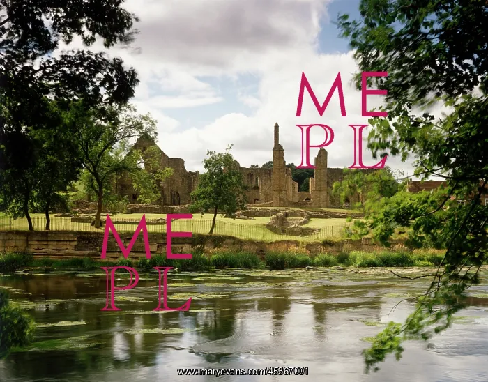 : Finchale Priory : Finchale Priory