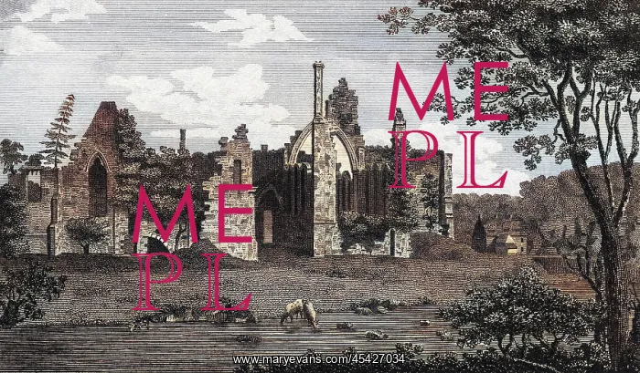 : FINCHALE PRIORY : FINCHALE PRIORY
