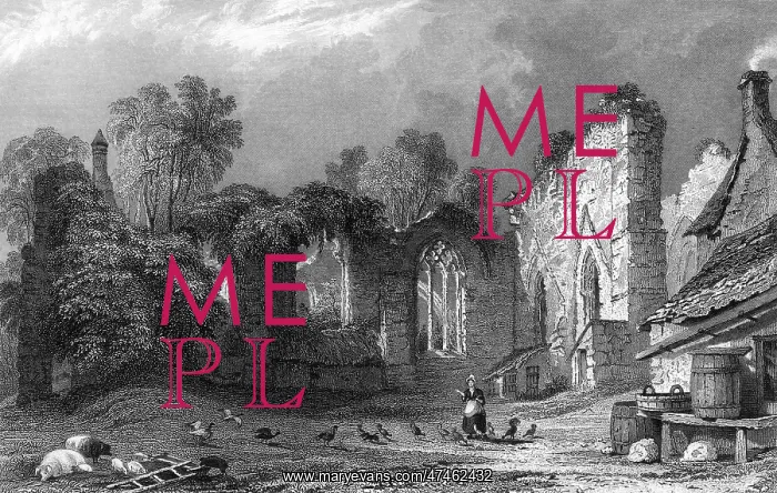  : FINCHALE PRIORY