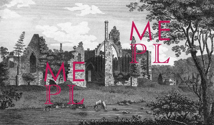 : FINCHALE PRIORY : FINCHALE PRIORY