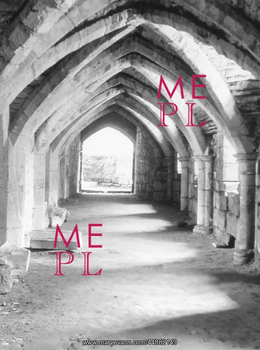 : FINCHDALE PRIORY CRYPT : FINCHDALE PRIORY CRYPT