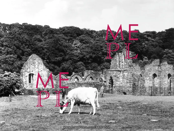 : FINCHDALE PRIORY RUINS : FINCHDALE PRIORY RUINS