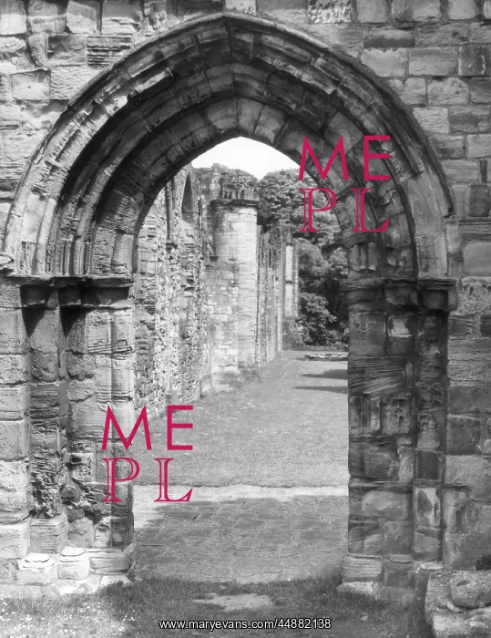 : FINCHDALE PRIORY RUINS : FINCHDALE PRIORY RUINS