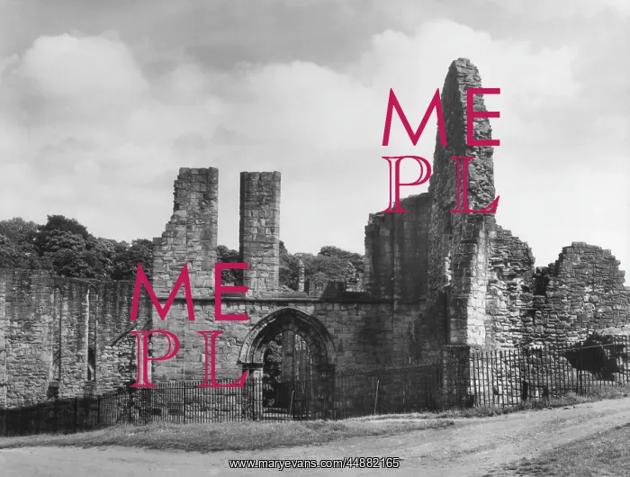: FINCHDALE PRIORY RUINS : FINCHDALE PRIORY RUINS