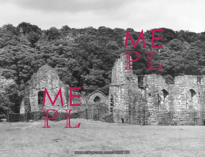 : FINCHDALE PRIORY RUINS : FINCHDALE PRIORY RUINS