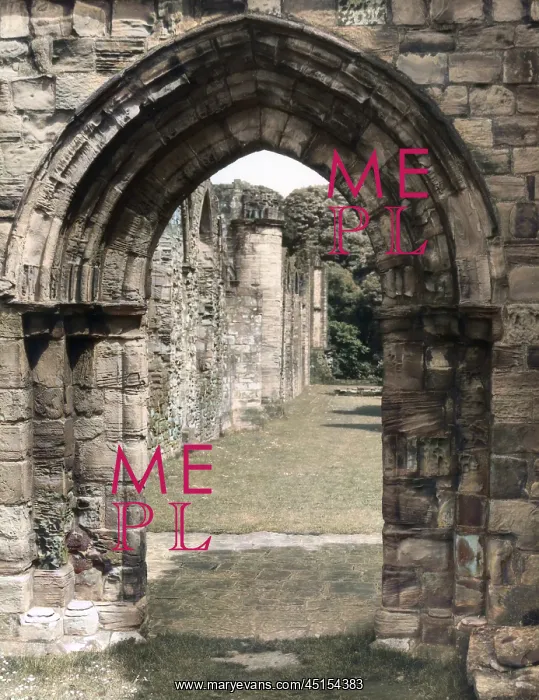 : FINCHDALE PRIORY RUINS : FINCHDALE PRIORY RUINS