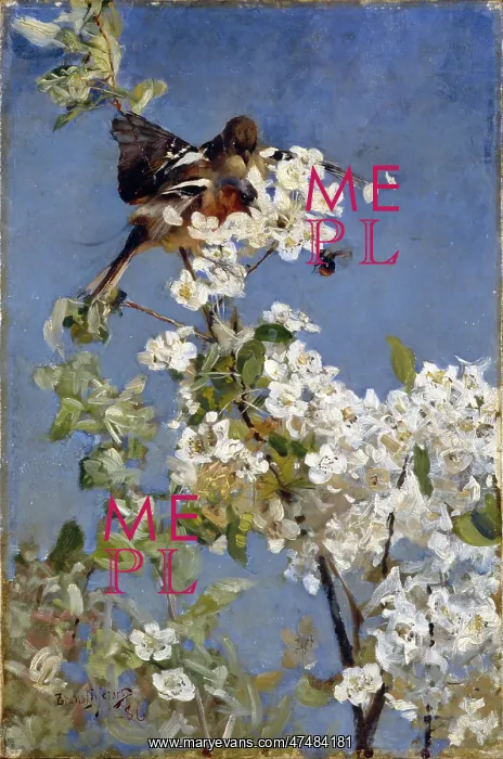 : Finches in a Blossom Tree : Finches in a Blossom Tree