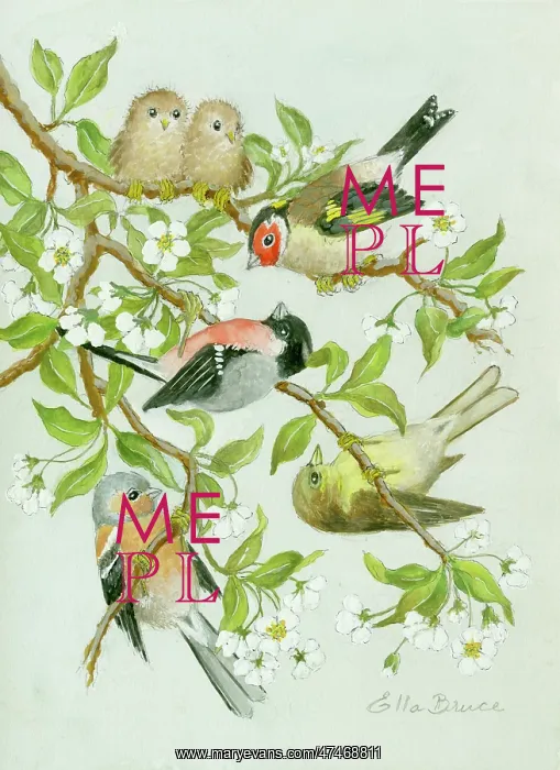  : Finches with young on blossom branch