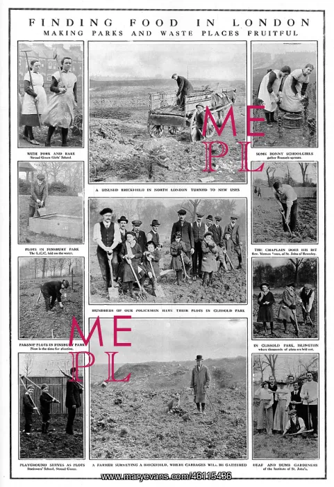 : Finding Food in London: WW1 : Finding Food in London: WW1