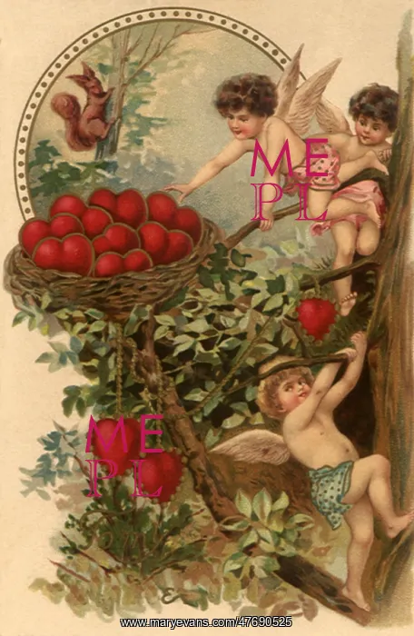  : Finding Heart Nest