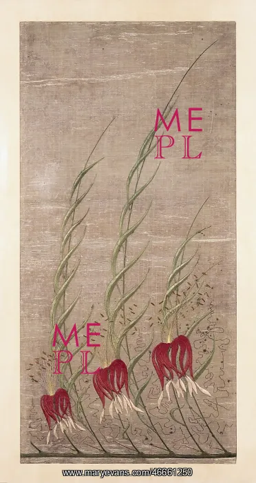 : fine arts, carpet / textile, arras Fire lilies : fine arts, carpet / textile, arras Fire lilies