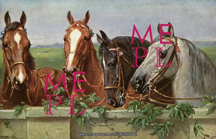 : Four fine horses : Four fine horses