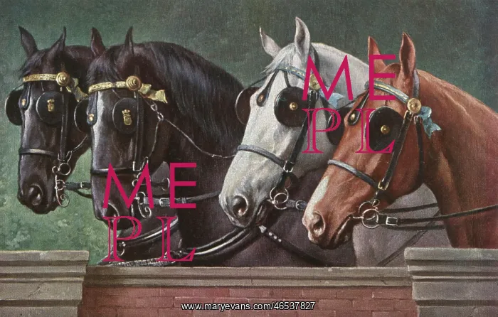 : Four fine horses wearing blinkers : Four fine horses wearing blinkers
