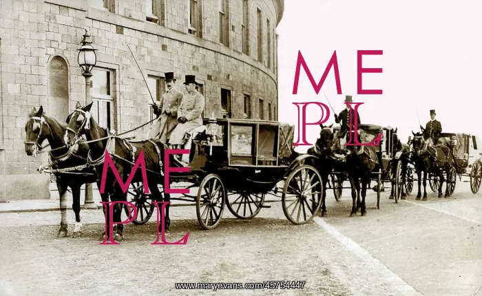 : A fine row of carriages : A fine row of carriages