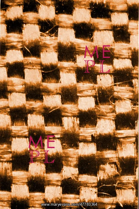 : Fine Silk, Early Photomicrograph : Fine Silk, Early Photomicrograph