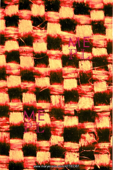 : Fine Silk, Early Photomicrograph : Fine Silk, Early Photomicrograph