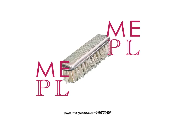  : Fingernail brush