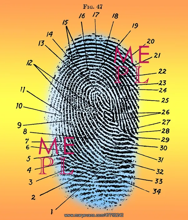 : Fingerprint Diagram, 1940 : Fingerprint Diagram, 1940