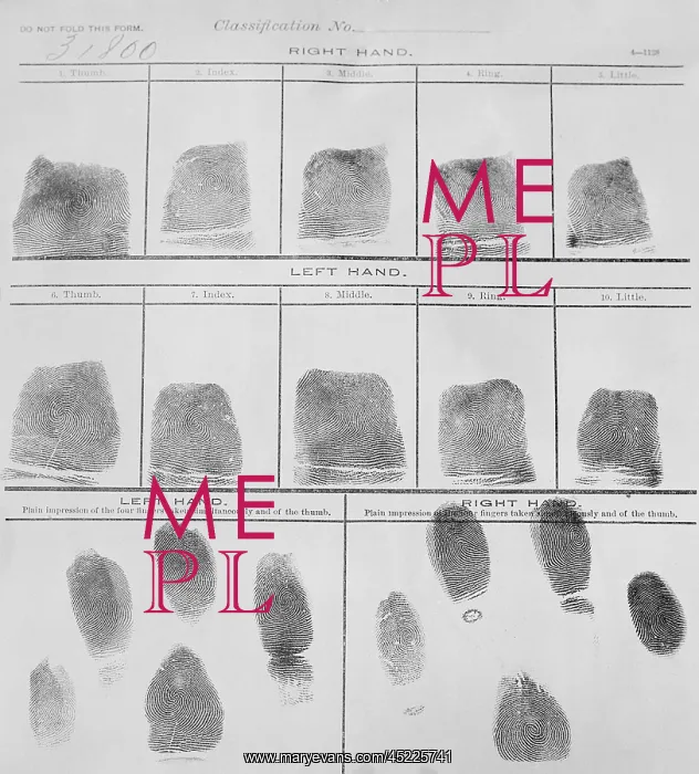 : Fingerprint record sheet from the Navy Department ? : Fingerprint record sheet from the Navy Department ?