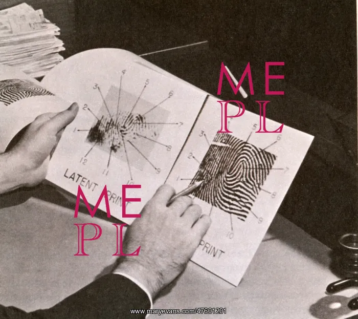 : Fingerprints : Fingerprints
